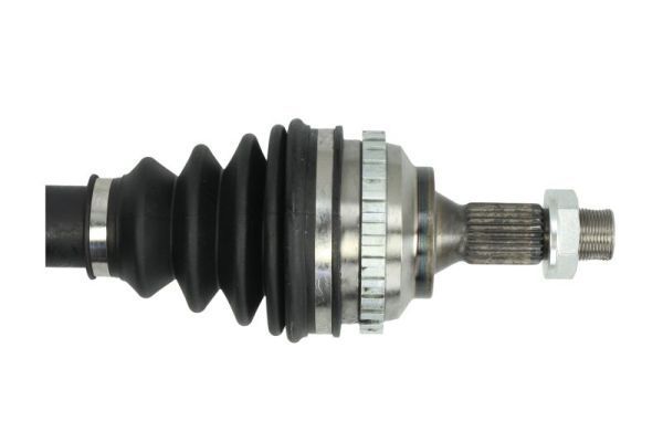 Pusašis PASCAL G2P033PC