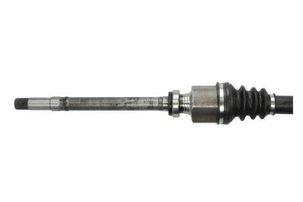 Pusašis PASCAL G2P033PC