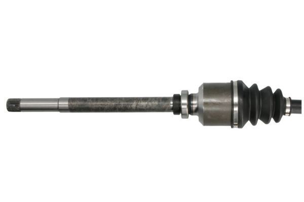Pusašis PASCAL G2P034PC