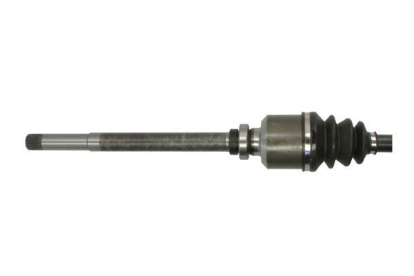 Pusašis PASCAL G2P037PC