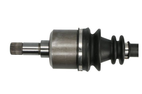 Pusašis PASCAL G2P038PC