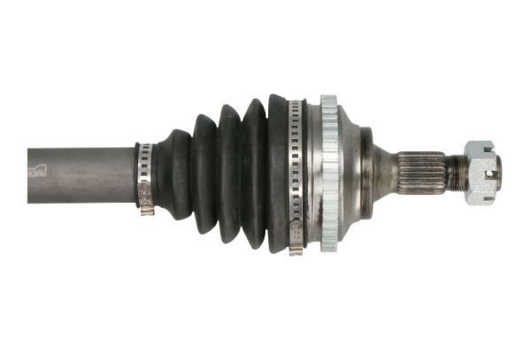 Pusašis PASCAL G2P043PC