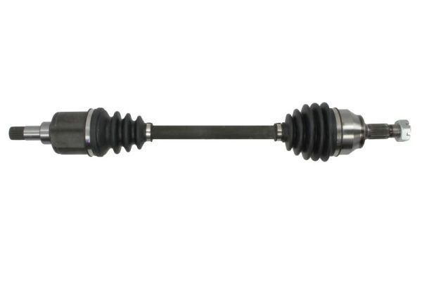 Pusašis PASCAL G2P048PC
