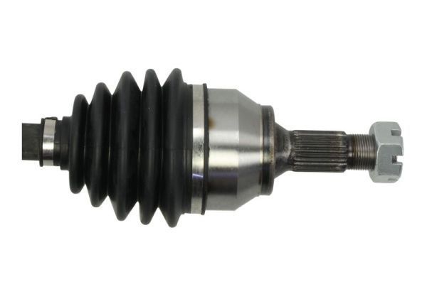Pusašis PASCAL G2P048PC