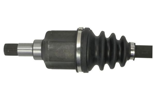 Pusašis PASCAL G2P048PC