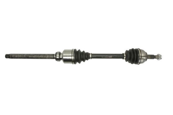 Pusašis PASCAL G2P053PC