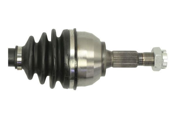 Pusašis PASCAL G2P053PC