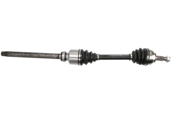 Pusašis PASCAL G2P055PC