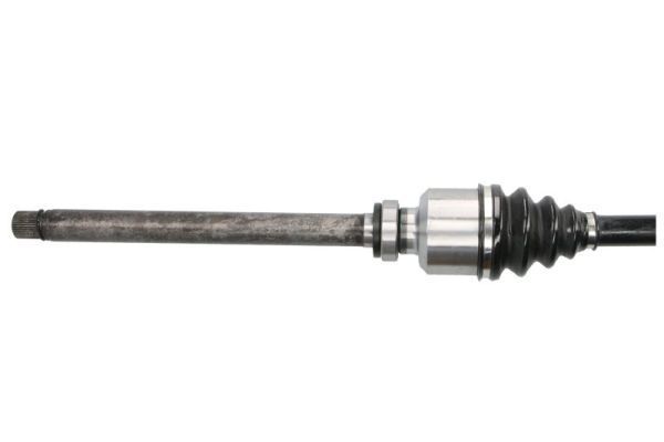 Pusašis PASCAL G2P055PC