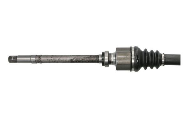Pusašis PASCAL G2P056PC