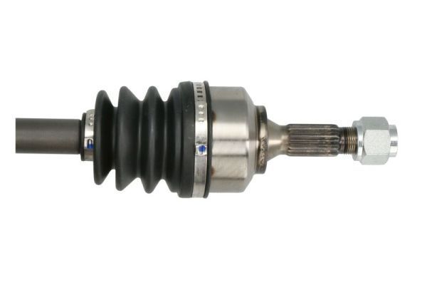Pusašis PASCAL G2P057PC