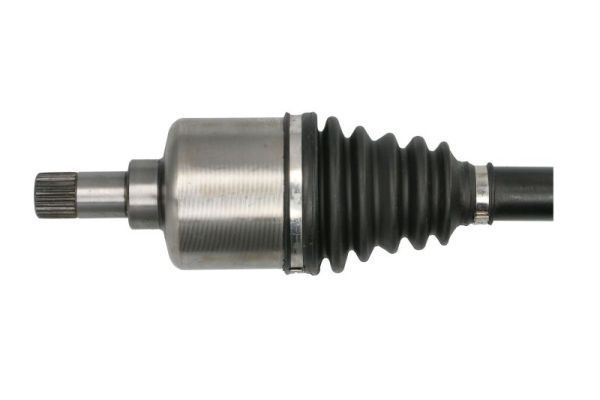 Pusašis PASCAL G2P059PC