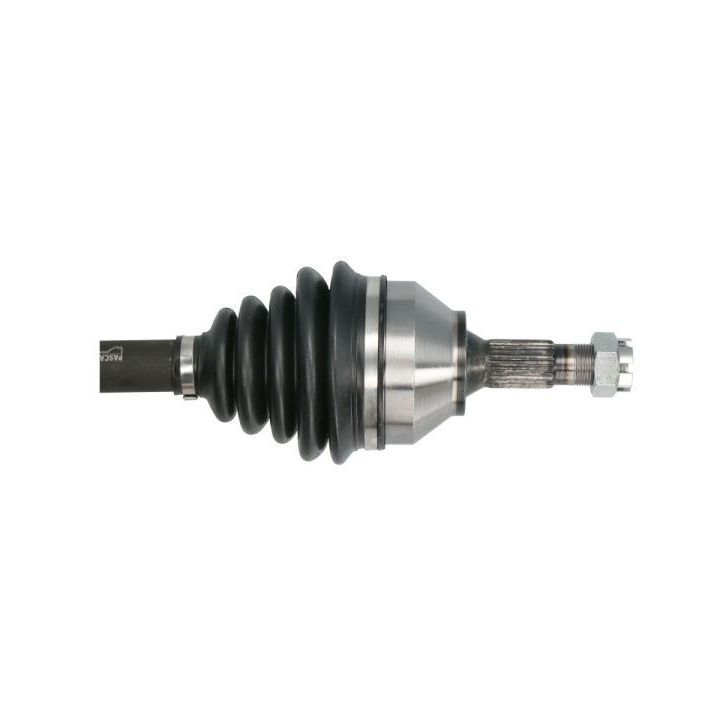 Pusašis PASCAL G2P061PC