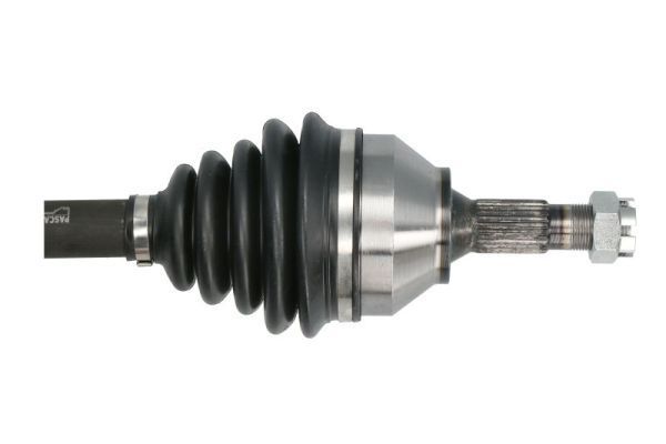 Pusašis PASCAL G2P061PC