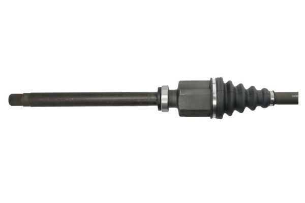 Pusašis PASCAL G2P061PC