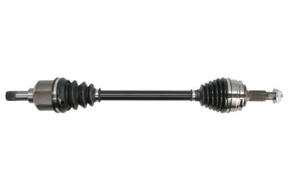 Pusašis PASCAL G2P067PC
