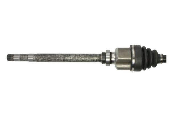 Pusašis PASCAL G2P073PC