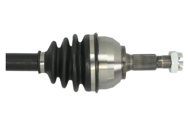 Pusašis PASCAL G2P076PC