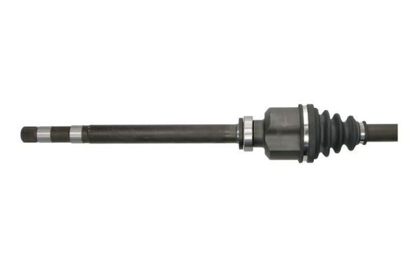 Pusašis PASCAL G2P077PC