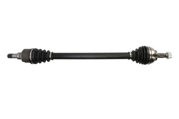 Pusašis PASCAL G2P080PC