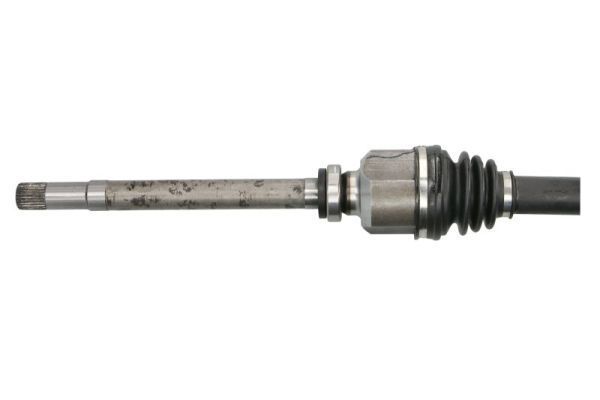 Pusašis PASCAL G2P083PC