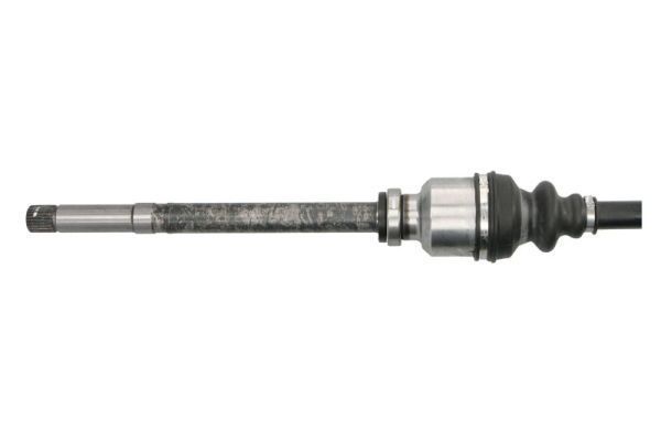 Pusašis PASCAL G2P084PC
