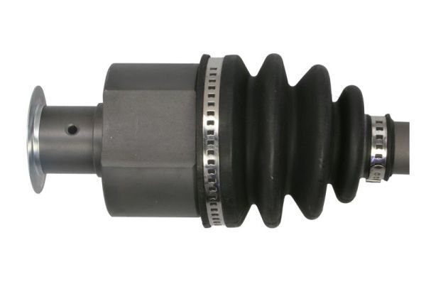 Pusašis PASCAL G2R003PC