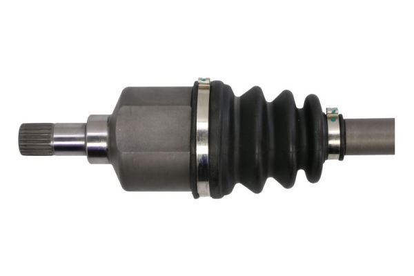 Pusašis PASCAL G2R009PC