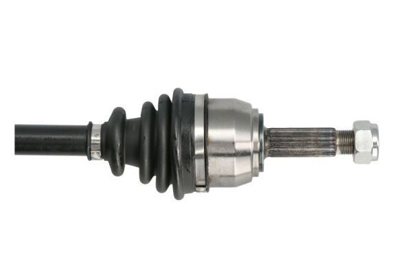 Pusašis PASCAL G2R016PC