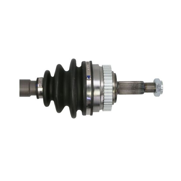 Pusašis PASCAL G2R031PC