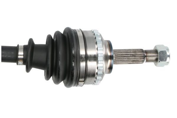 Pusašis PASCAL G2R036PC