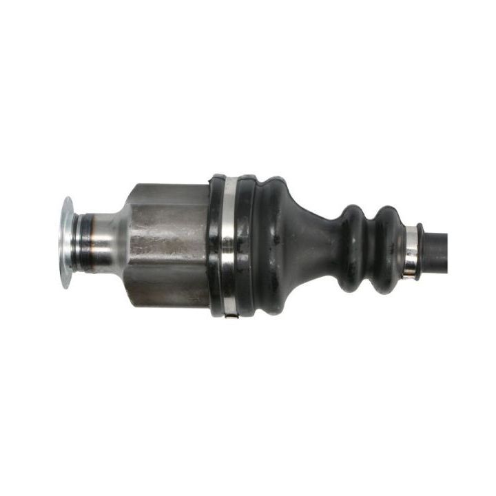 Pusašis PASCAL G2R036PC