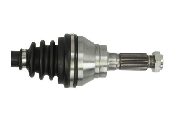 Pusašis PASCAL G2R041PC