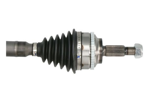 Pusašis PASCAL G2R043PC