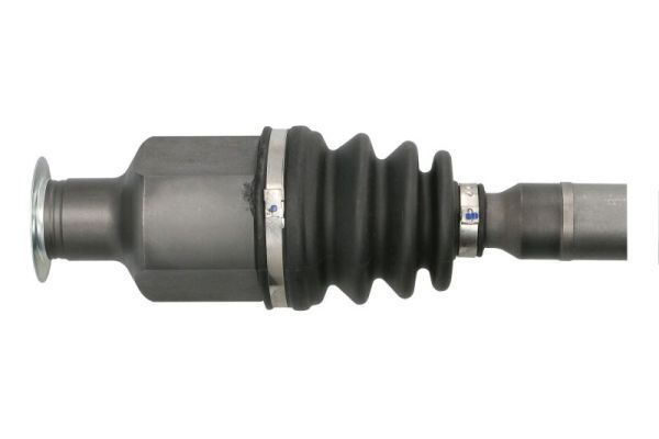 Pusašis PASCAL G2R043PC