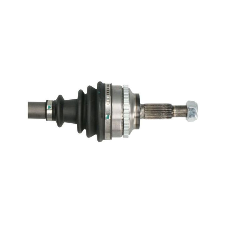 Pusašis PASCAL G2R066PC