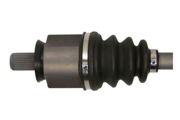 Pusašis PASCAL G2R103PC