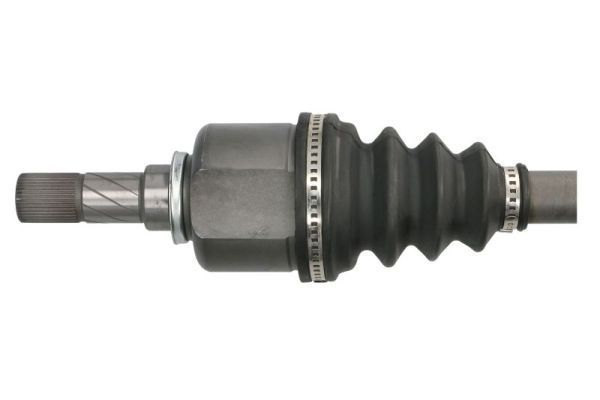 Pusašis PASCAL G2R116PC