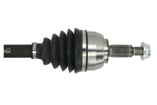 Pusašis PASCAL G2R132PC