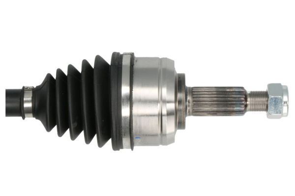 Pusašis PASCAL G2R145PC
