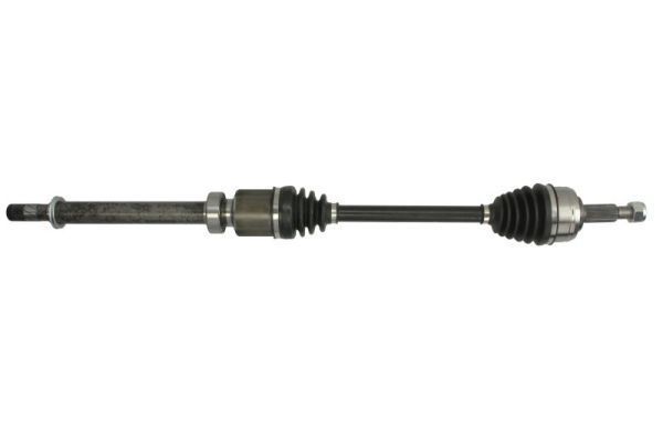 Pusašis PASCAL G2R146PC