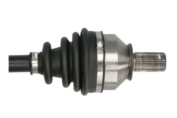 Pusašis PASCAL G2R161PC