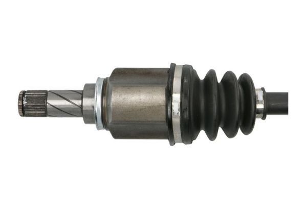 Pusašis PASCAL G2R161PC