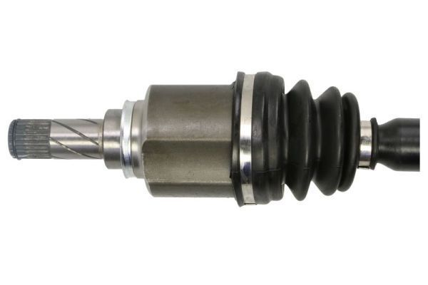 Pusašis PASCAL G2R164PC