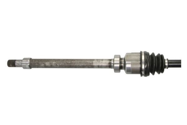 Pusašis PASCAL G2R172PC
