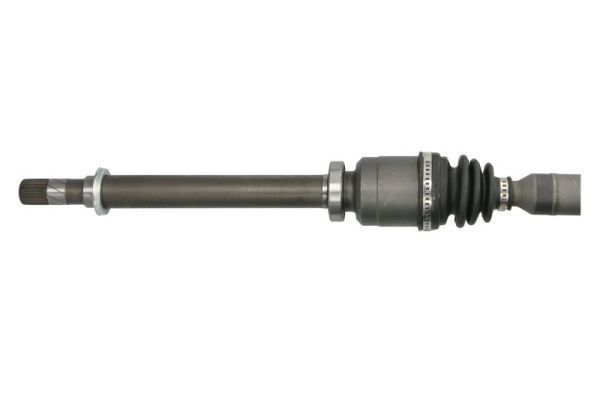 Pusašis PASCAL G2R182PC