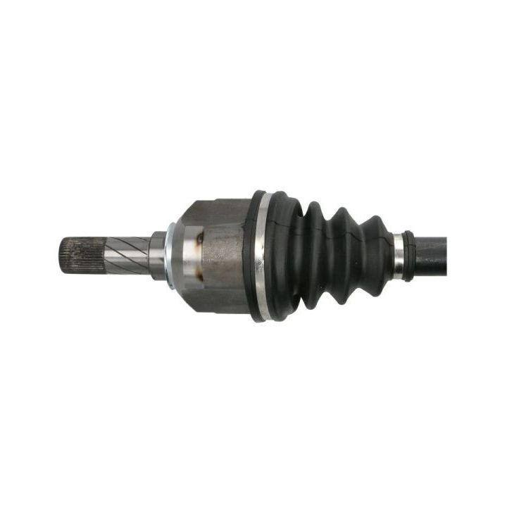 Pusašis PASCAL G2R184PC