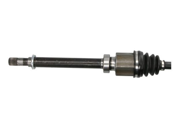 Pusašis PASCAL G2R187PC