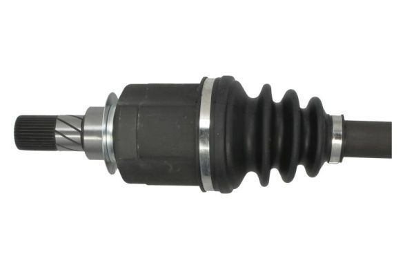 Pusašis PASCAL G2R193PC