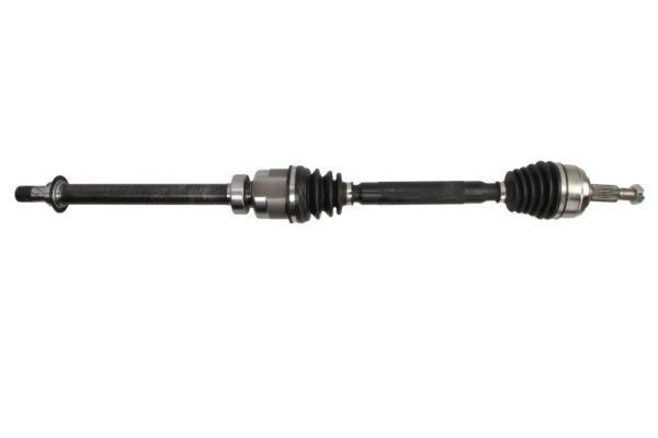 Pusašis PASCAL G2R195PC